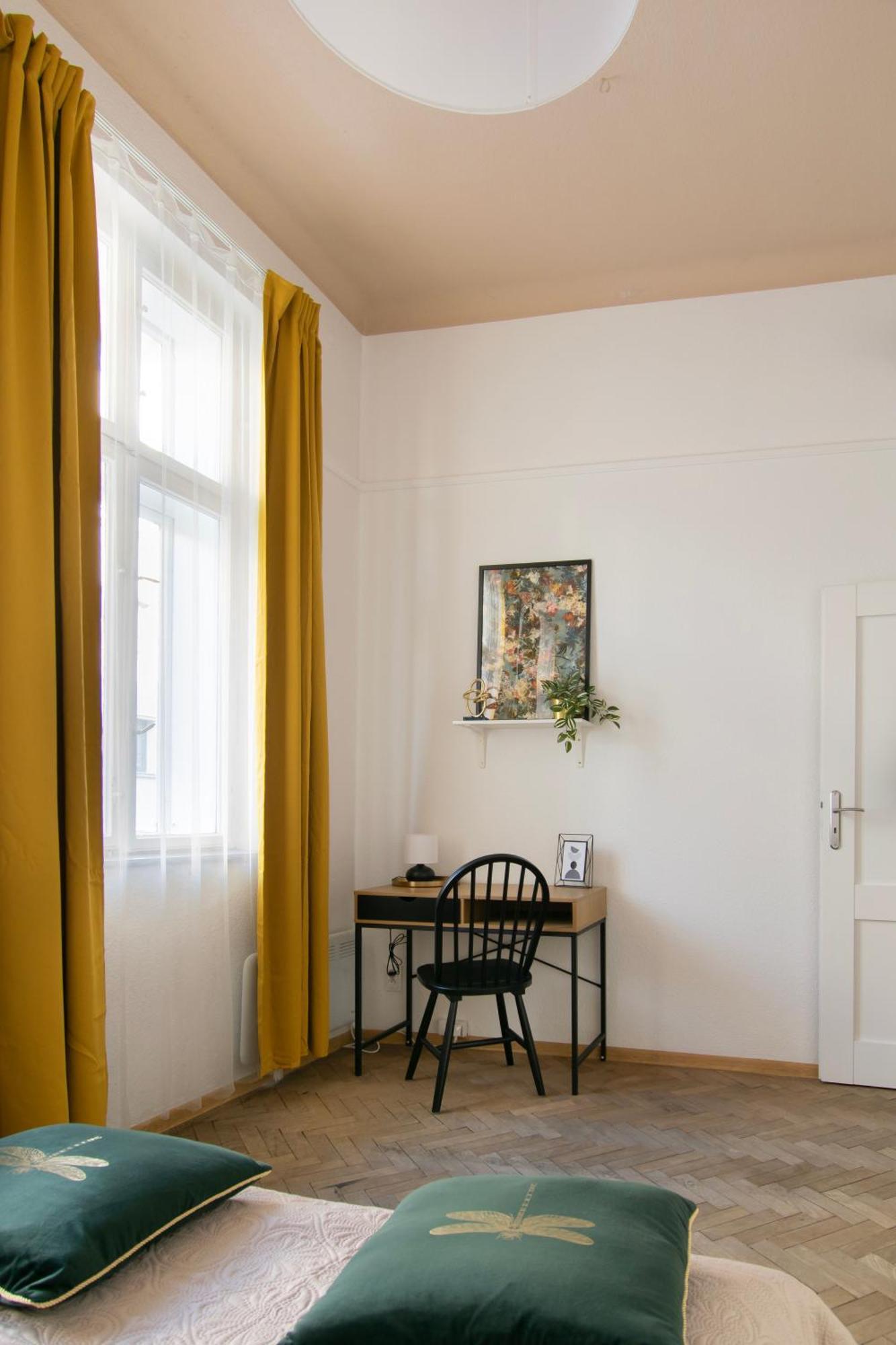Huge Smolensk Street Apartment Krakow